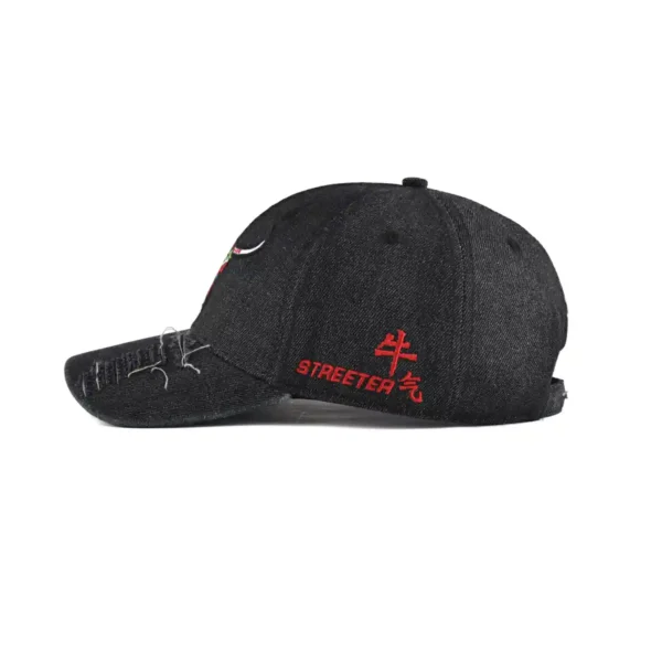 the horizontal side of the mens fashion baseball cap KN2012212