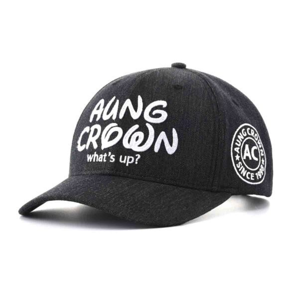 the side of the washed baseball cap dark gray SFA-210329-1