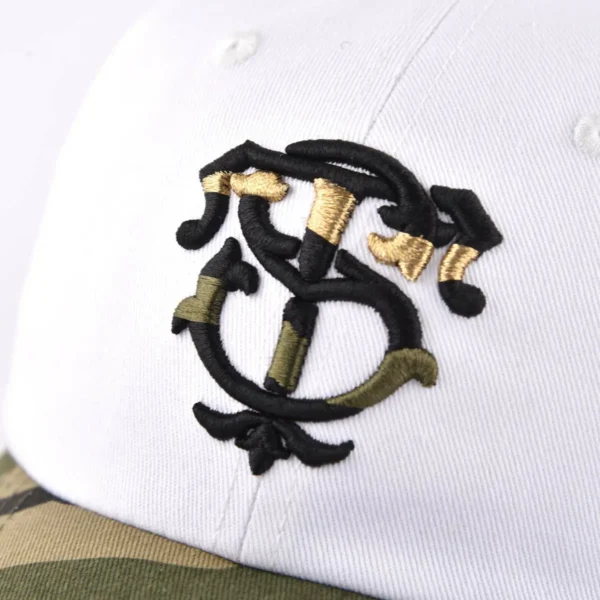 3d embroidery logo on the front of the twill baseball cap KN2012301-1