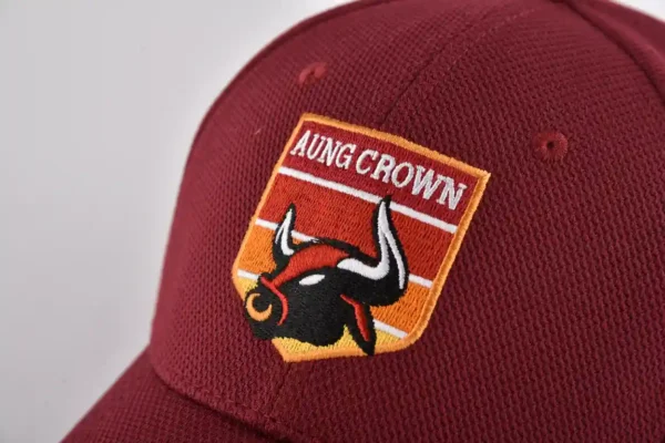 the front flat embroidery logo of the claret adjustable baseball cap KN2012082