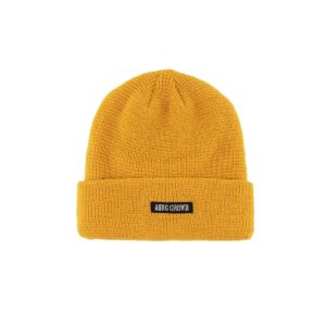 winter beanie hat