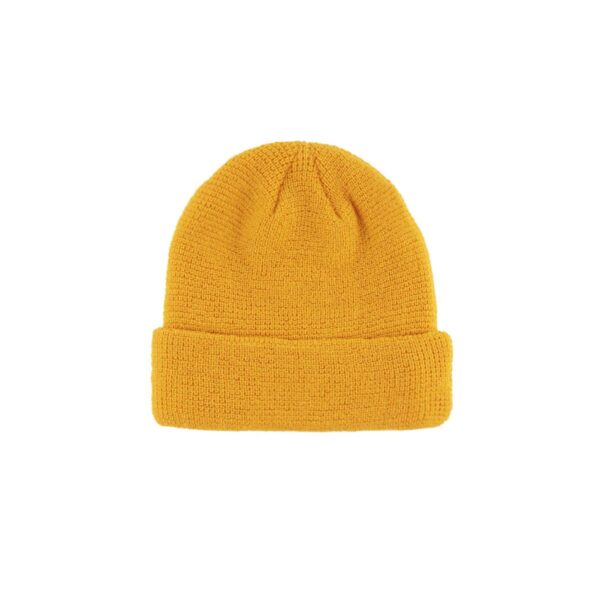 winter beanie hat