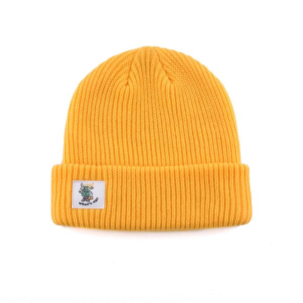 short beanie hat