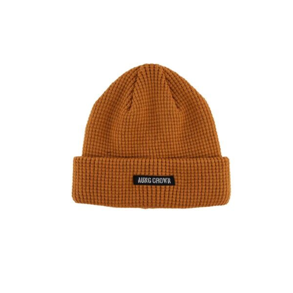 winter beanie hat