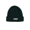 winter beanie hat